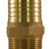 Brass Straight Adapter - 1¼" Male Pipe Thread X 1¼" Barb -Tool Gear Shop bbma6 51792.1541697829